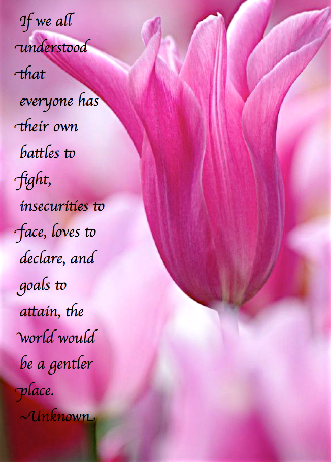 Screen Shot 2017-03-02 at 10.35.39 PM.png