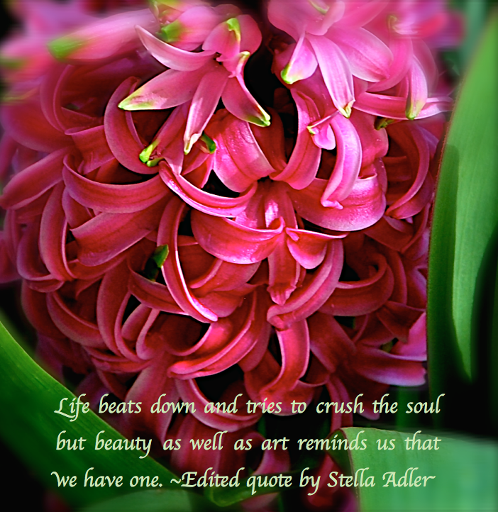 Screen Shot 2017-03-02 at 10.41.32 PM.png