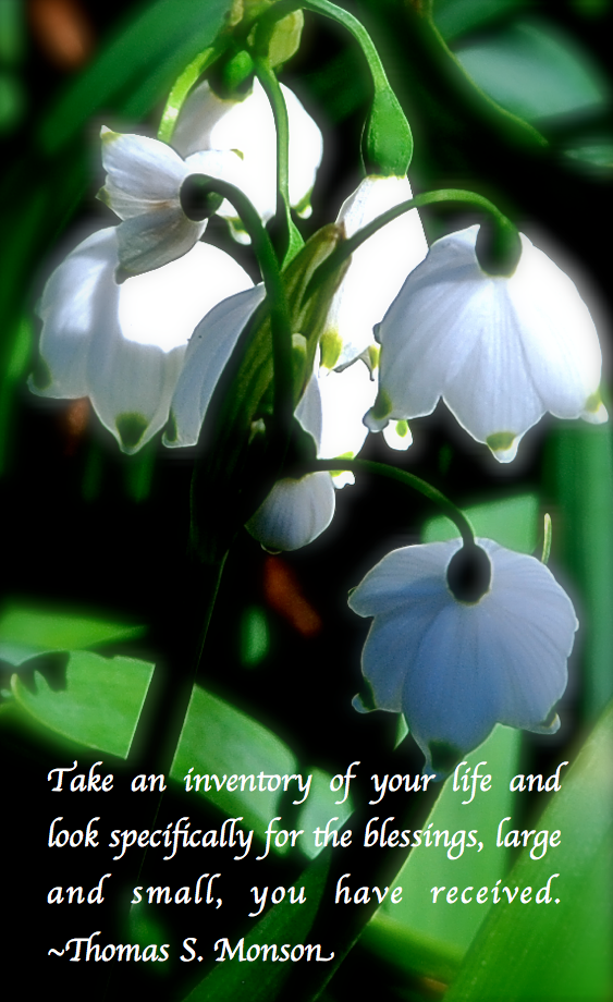 Screen Shot 2017-03-02 at 10.45.38 PM.png