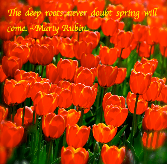 Screen Shot 2017-03-02 at 10.49.02 PM.png