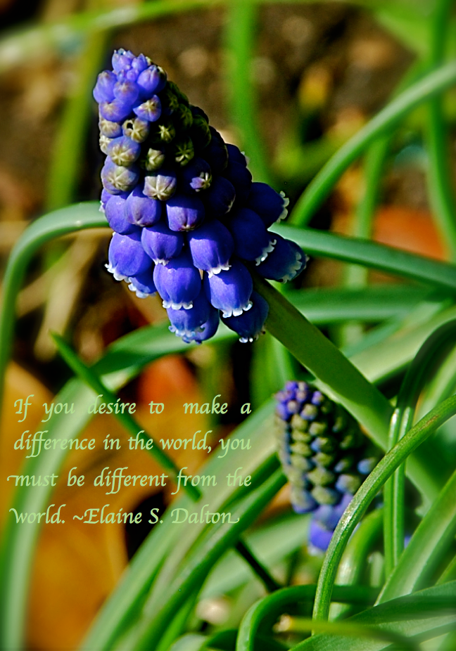 Screen Shot 2017-03-02 at 10.59.39 PM.png