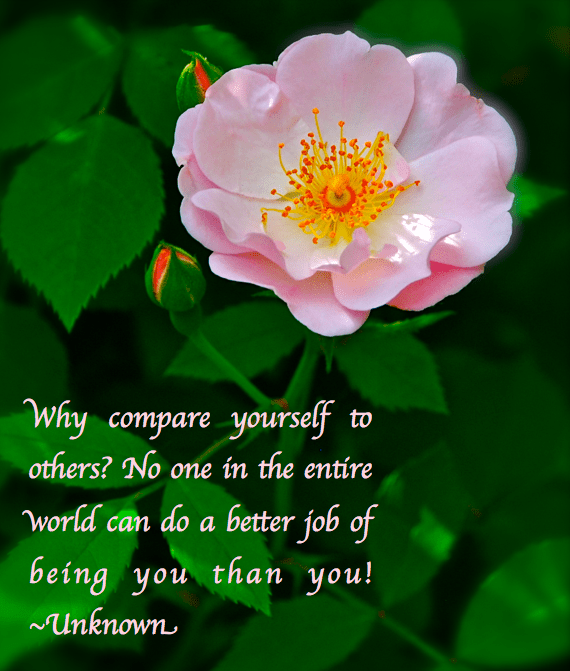 Screen Shot 2017-03-03 at 8.45.16 PM.png