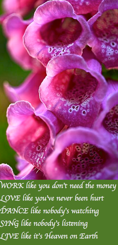 Screen Shot 2017-03-03 at 8.53.43 PM.png