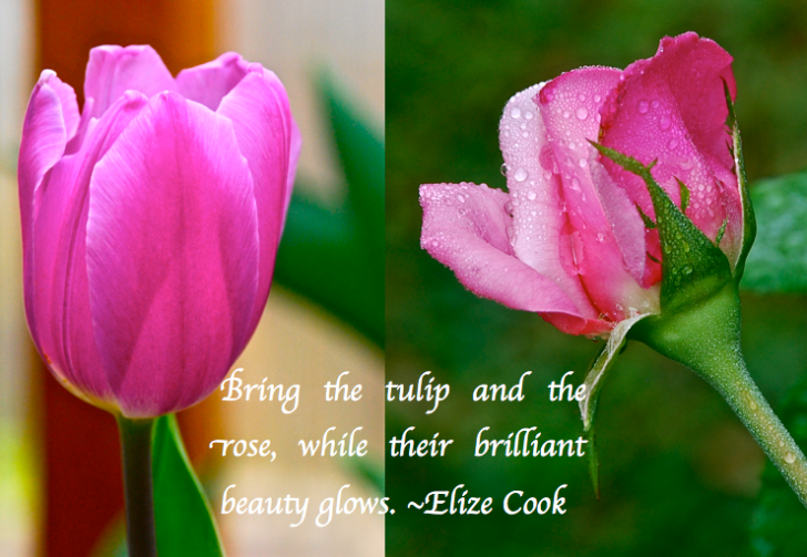 Screen Shot 2017-03-03 at 9.00.59 PM.png