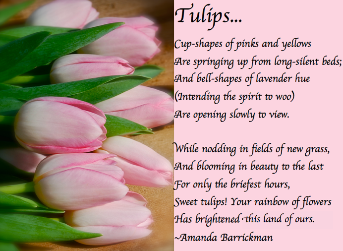 Screen Shot 2017-03-03 at 9.40.45 PM.png