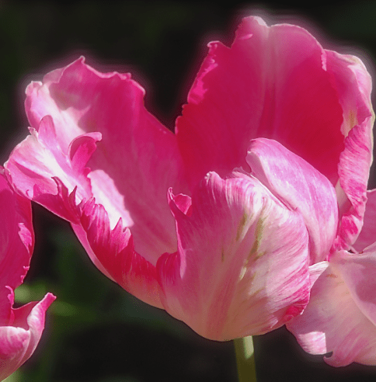 Screen Shot 2017-03-04 at 5.10.29 PM.png