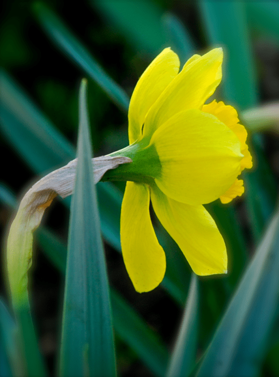 Screen Shot 2017-03-04 at 5.22.15 PM.png