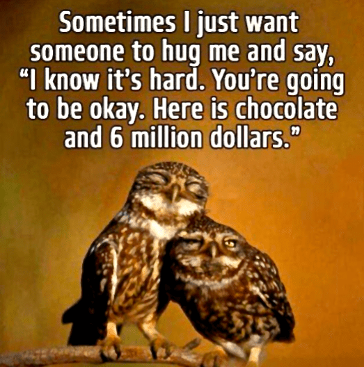 Screen Shot 2017-03-04 at 8.39.41 PM.png