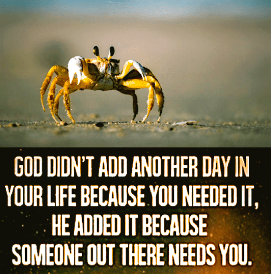 Screen Shot 2017-03-07 at 10.47.37 PM.png