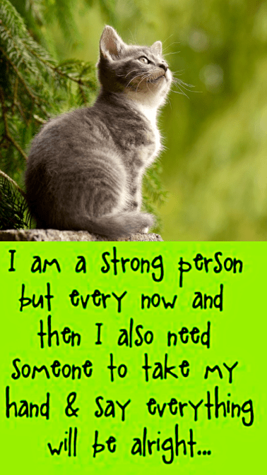 Screen Shot 2017-03-07 at 11.00.55 PM.png