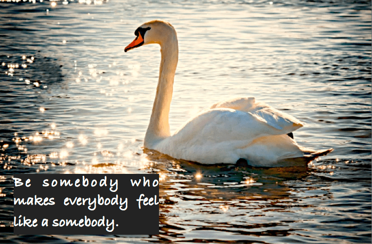 Screen Shot 2017-03-07 at 11.08.24 PM.png