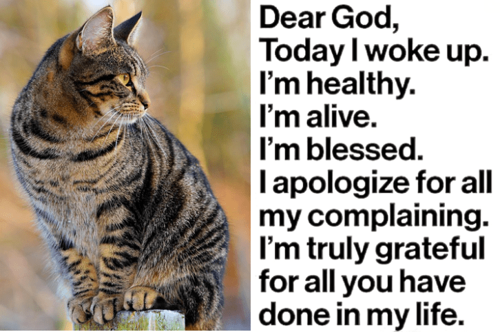 Screen Shot 2017-03-07 at 11.18.23 PM.png