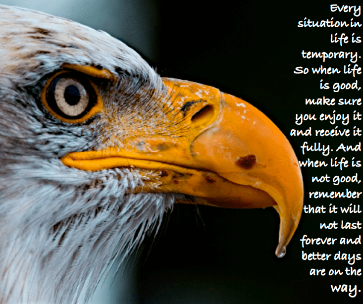 Screen Shot 2017-03-07 at 11.50.41 PM.png