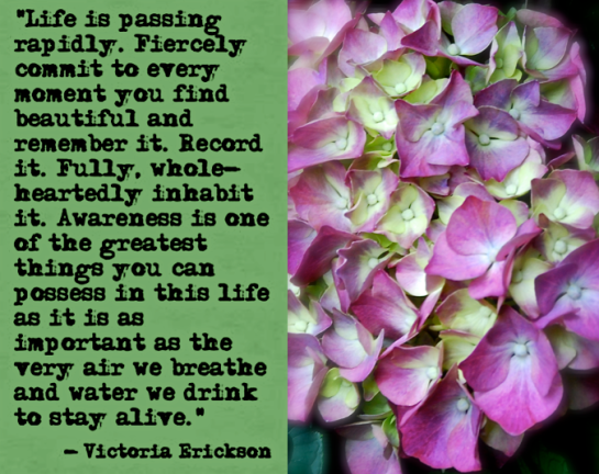 Screen Shot 2017-03-09 at 10.48.44 PM.png