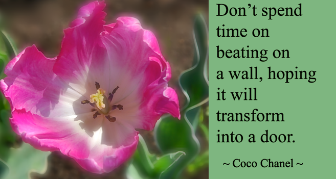 Screen Shot 2017-03-09 at 11.03.35 PM.png