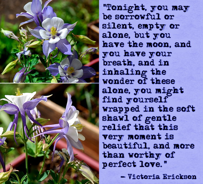 Screen Shot 2017-03-09 at 11.10.29 PM.png