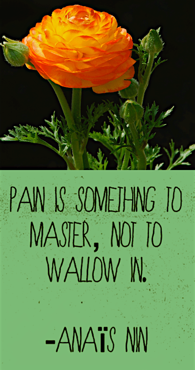 Screen Shot 2017-03-09 at 11.24.03 PM.png