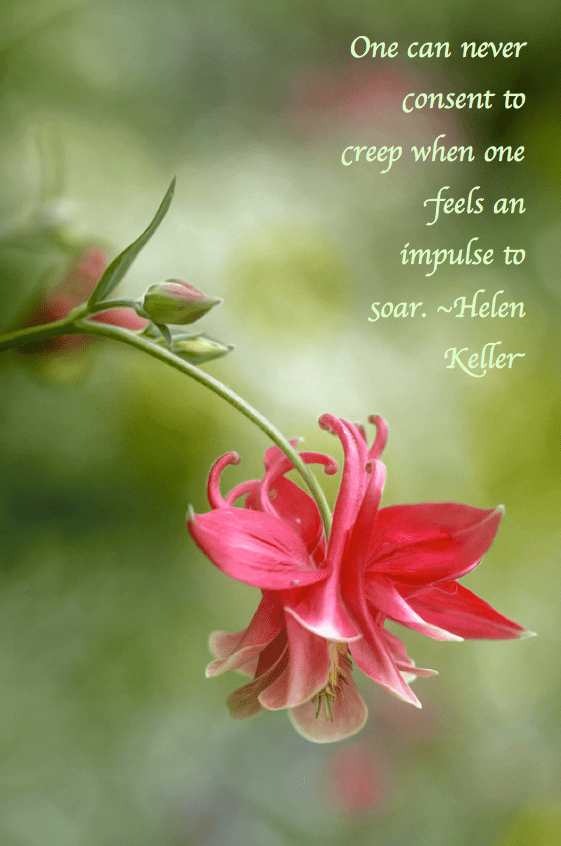 Screen Shot 2017-03-09 at 11.28.12 PM.png