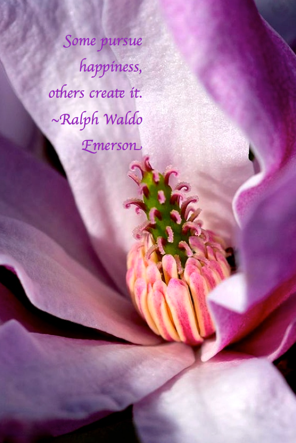 Screen Shot 2017-03-10 at 10.09.04 PM.png