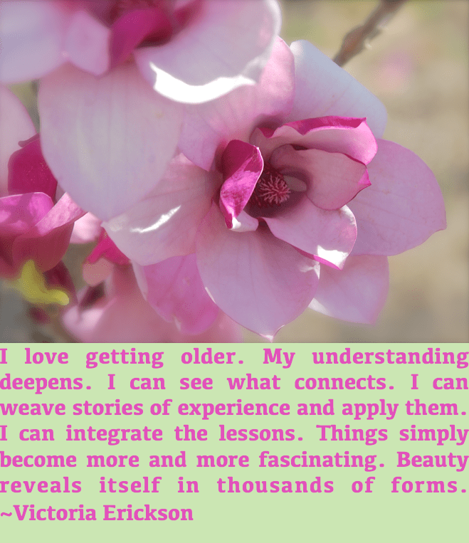 Screen Shot 2017-03-10 at 7.58.59 PM.png