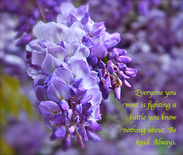 Screen Shot 2017-03-13 at 10.05.17 PM.png