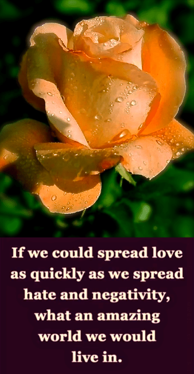 Screen Shot 2017-03-14 at 9.41.40 PM.png