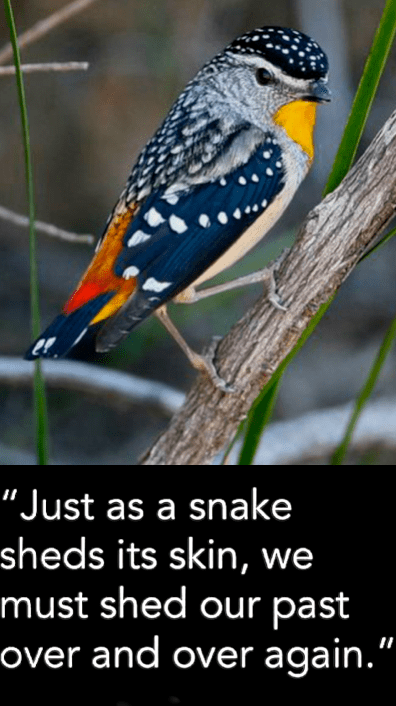 Screen Shot 2017-03-14 at 9.45.48 PM.png