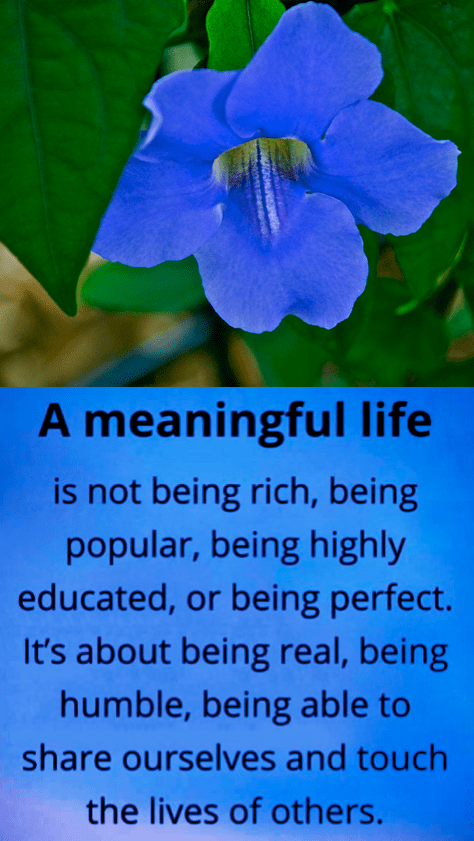 Screen Shot 2017-03-14 at 9.52.23 PM.png