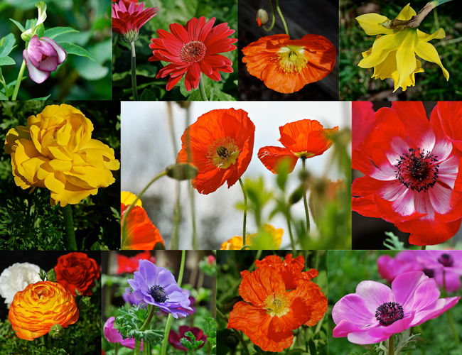 Screen Shot 2017-03-17 at 9.25.22 AM.png