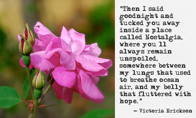 Screen Shot 2017-03-18 at 11.30.27 PM.png