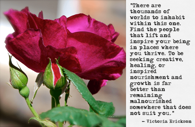 Screen Shot 2017-03-18 at 11.32.08 PM.png