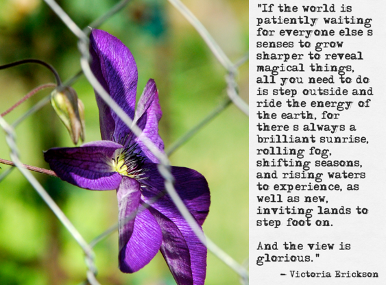 Screen Shot 2017-03-18 at 11.33.33 PM.png