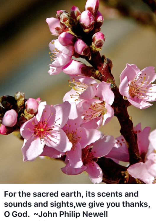 Screen Shot 2017-03-19 at 8.15.07 PM.png