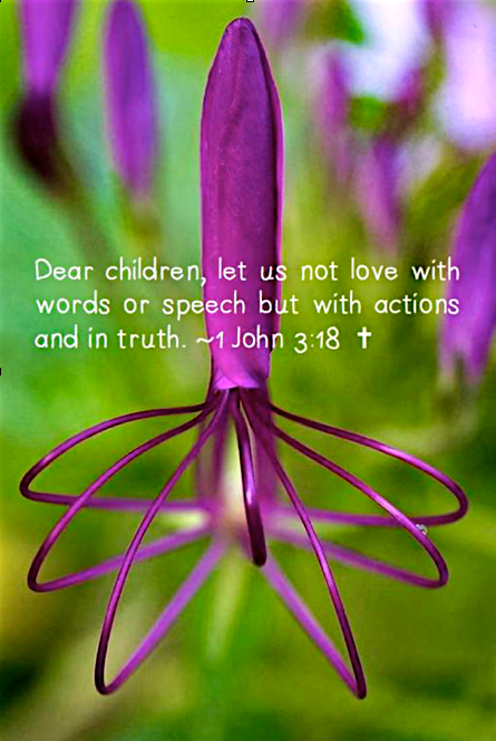 Screen Shot 2017-03-19 at 9.34.05 PM.png