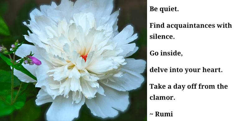 Screen Shot 2017-03-20 at 11.05.30 PM.png