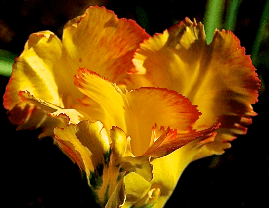 Screen Shot 2017-03-20 at 9.47.45 PM.png