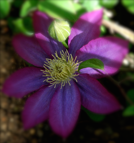 Screen Shot 2017-03-21 at 9.25.15 PM.png