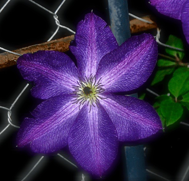 Screen Shot 2017-03-21 at 9.57.50 PM.png