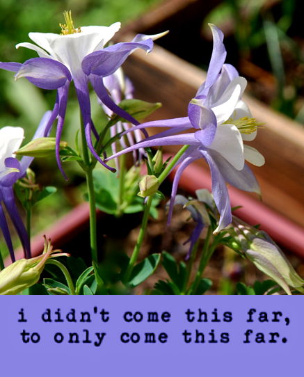 Screen Shot 2017-03-22 at 10.35.34 PM.png