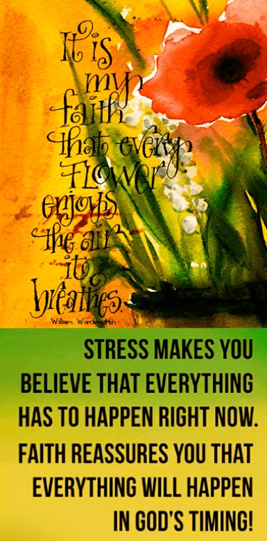 Screen Shot 2017-03-22 at 10.46.52 PM.png