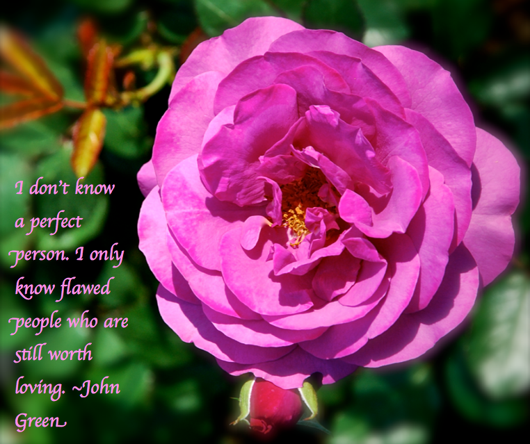 Screen Shot 2017-03-22 at 9.25.49 PM.png