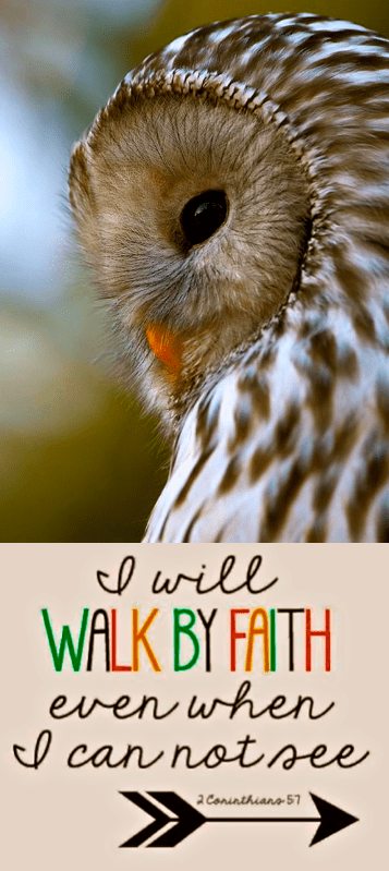 Screen Shot 2017-03-24 at 11.16.34 PM.png