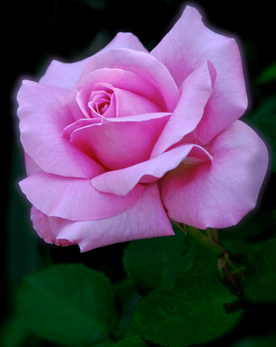 Screen Shot 2017-03-24 at 9.18.06 PM.png