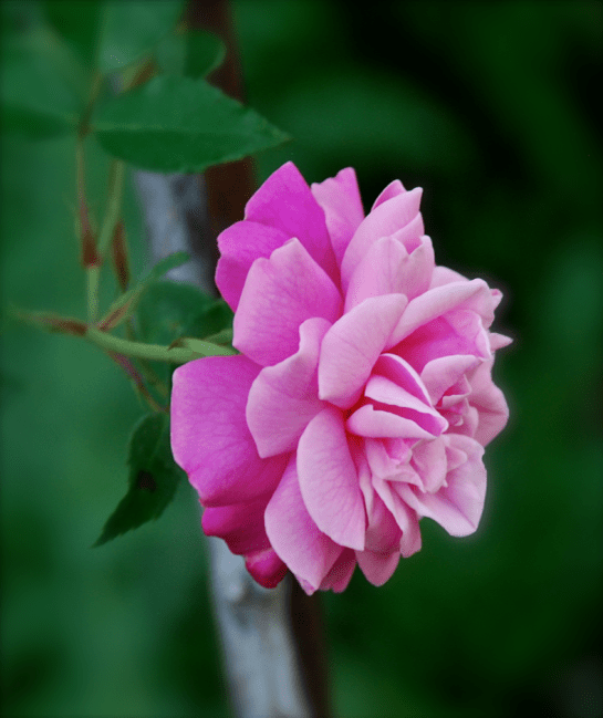 Screen Shot 2017-03-24 at 9.28.27 PM.png