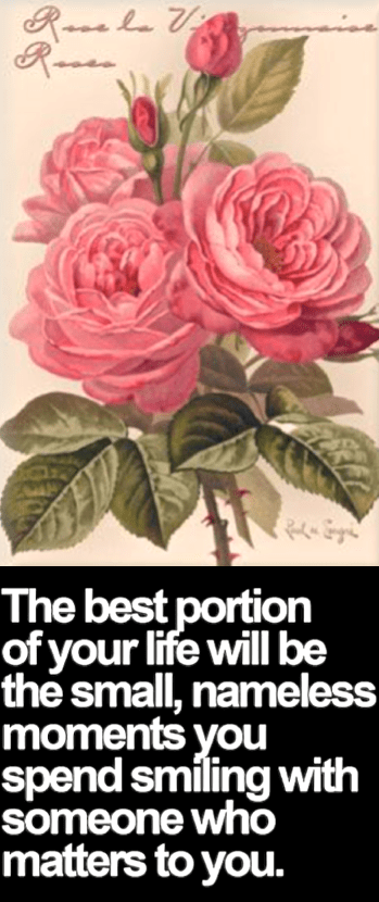 Screen Shot 2017-03-27 at 9.00.11 PM.png