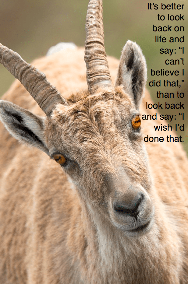 Screen Shot 2017-03-27 at 9.07.12 PM.png