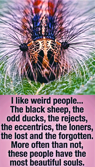 Screen Shot 2017-03-30 at 10.55.45 PM.png