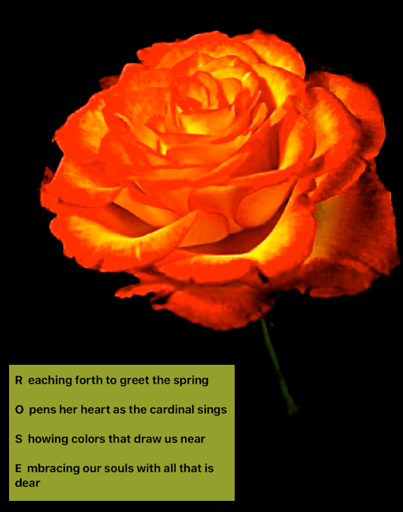 Screen Shot 2017-03-30 at 11.02.08 PM.png