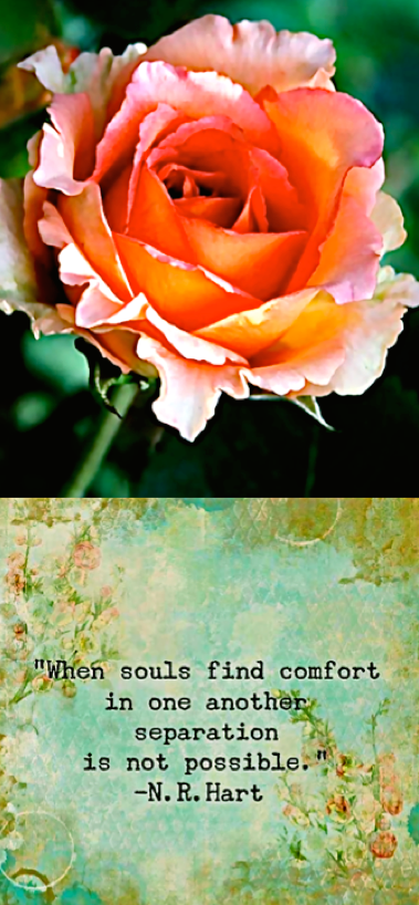 Screen Shot 2017-03-30 at 11.08.20 PM.png