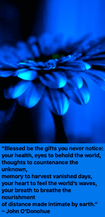 Screen Shot 2017-03-30 at 11.23.12 PM.png